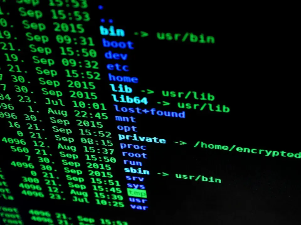 Expert SEO Agency for Technical Audits, On-Page Optimization & Site Performance