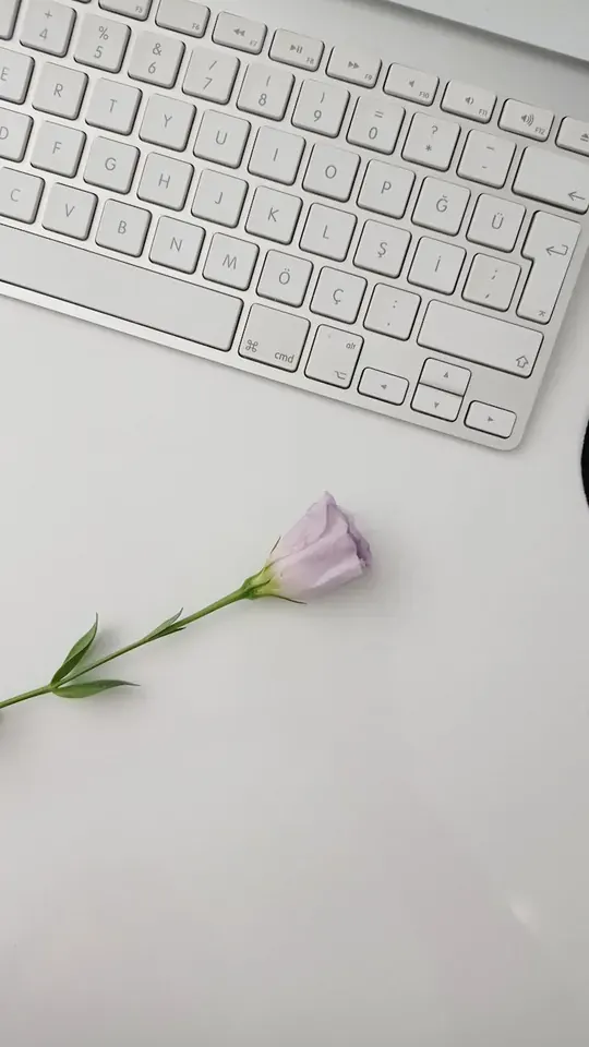 The Complete On-Page and Content Optimization Checklist for Technical SEO Audits